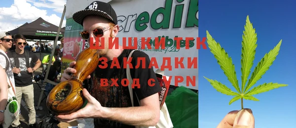 стаф Бугульма