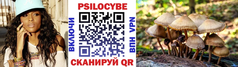 Купить где  Демидов  Галлюциногенные грибы прущие грибы 
